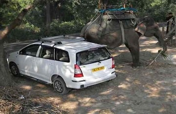 Toyota Innova Car